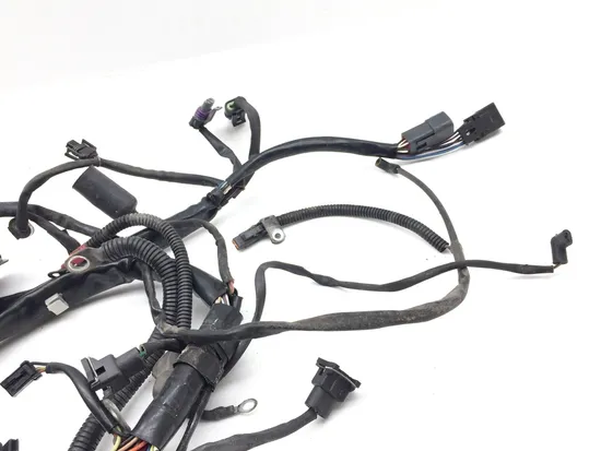 Main Engine Wiring Harness 2002 Harley-Davidson Softail Standard EFI FXSTI 3245