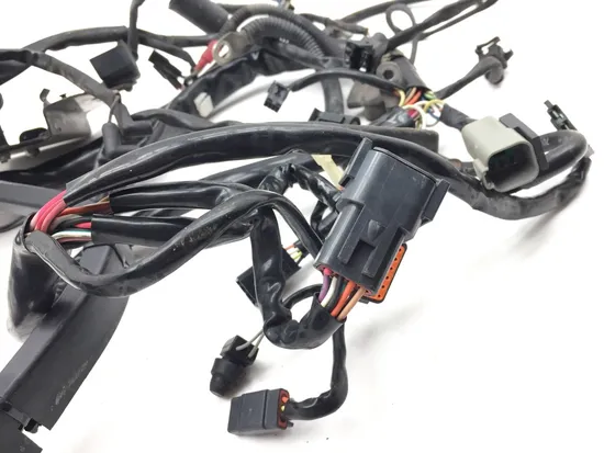 Main Engine Wiring Harness 2002 Harley-Davidson Softail Standard EFI FXSTI 3245