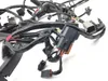 Main Engine Wiring Harness 2002 Harley-Davidson Softail Standard EFI FXSTI 3245