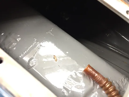 Gas Tank Fuel Petrol 2002 Harley-Davidson Softail Standard EFI FXSTI 3245