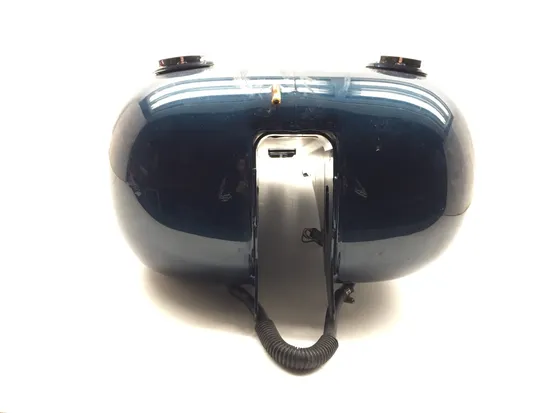 Gas Tank Fuel Petrol 2002 Harley-Davidson Softail Standard EFI FXSTI 3245