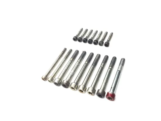 Engine Left Right Center Case Bolts 2007 Ducati Multistrada 1100 S 3259