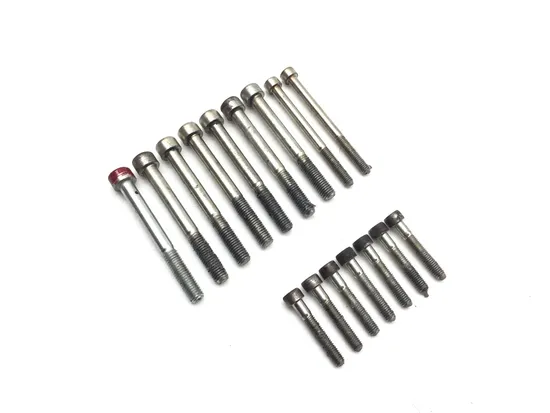 Engine Left Right Center Case Bolts 2007 Ducati Multistrada 1100 S 3259