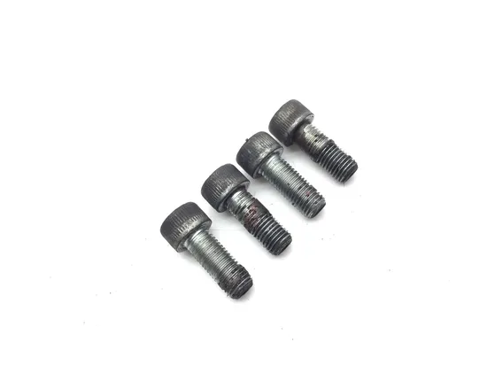 Front Brake Caliper Mounting Bolts 2007 Ducati Multistrada 1100 S 3259