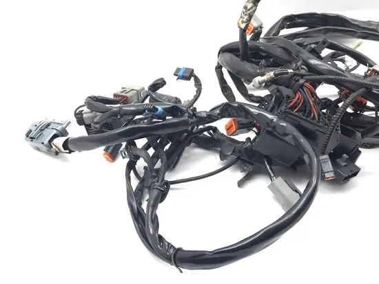 Main Engine Wiring Harness 2005 Harley Electra Glide Ultra Classic FLHTCUI 3233