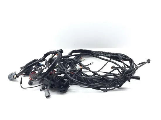 Main Engine Wiring Harness 2005 Harley Electra Glide Ultra Classic FLHTCUI 3233