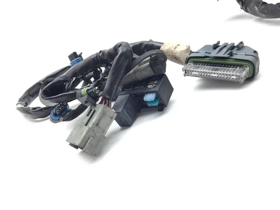 Main Engine Wiring Harness 2005 Harley Electra Glide Ultra Classic FLHTCUI 3233