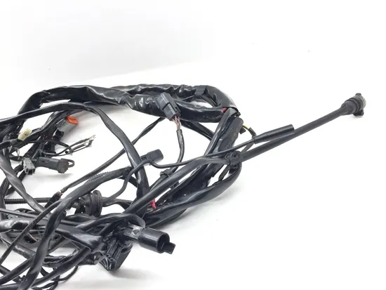 Main Engine Wiring Harness 2005 Harley Electra Glide Ultra Classic FLHTCUI 3233