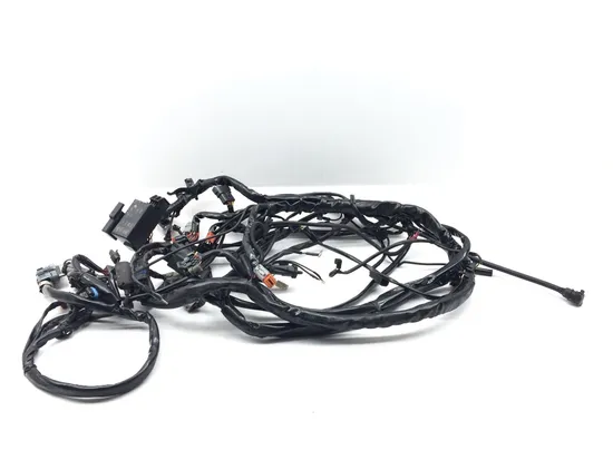 Main Engine Wiring Harness 2005 Harley Electra Glide Ultra Classic FLHTCUI 3233