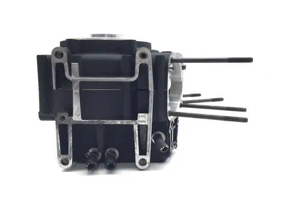 Engine Left Right Center Cases 2000 Harley Electra Glide Classic FLHTCI 3244 x