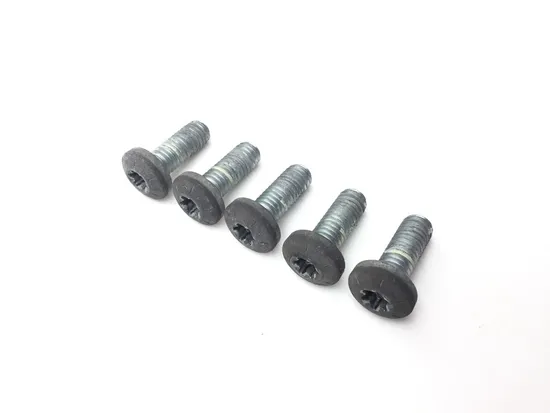 Rear Brake Rotor Disc Bolts 2000 Harley Electra Glide Classic EFI FLHTCI 3244