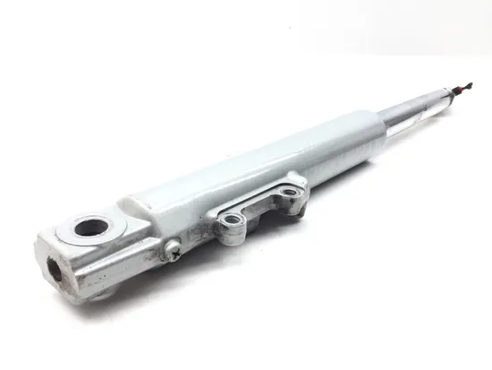 Front Forks Tubes Legs 2000 Harley Electra Glide Classic EFI FLHTCI 3244 x