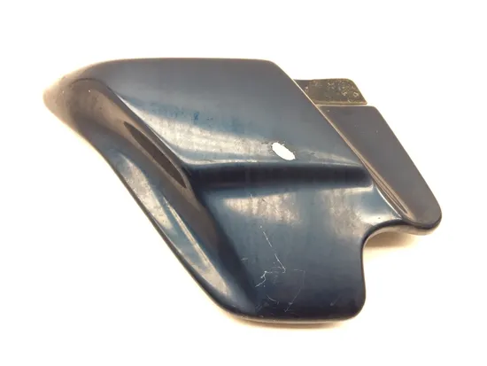 Left Side Cover 2000 Harley-Davidson Electra Glide Classic EFI FLHTCI 3244 x
