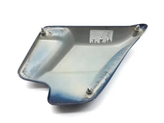 Left Side Cover 2000 Harley-Davidson Electra Glide Classic EFI FLHTCI 3244 x
