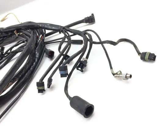 Main Engine Wiring Harness 2000 Harley Electra Glide Ultra Classic FLHTCUI 3247