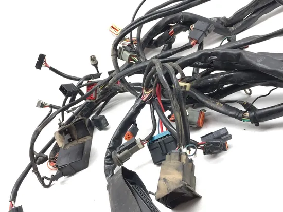 Main Engine Wiring Harness 2000 Harley Electra Glide Ultra Classic FLHTCUI 3247