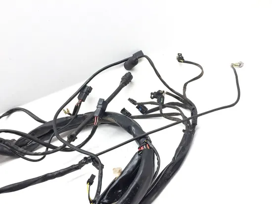 Main Engine Wiring Harness 2000 Harley Electra Glide Ultra Classic FLHTCUI 3247