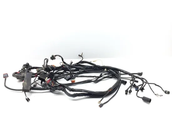 Main Engine Wiring Harness 2000 Harley Electra Glide Ultra Classic FLHTCUI 3247