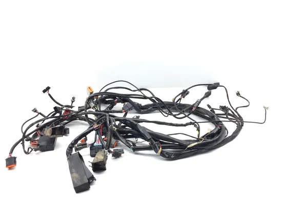 Main Engine Wiring Harness 2000 Harley Electra Glide Ultra Classic FLHTCUI 3247