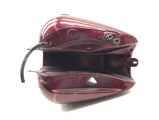 Gas Tank Fuel Petrol 2000 Harley Electra Glide Ultra Classic EFI FLHTCUI 3247 x