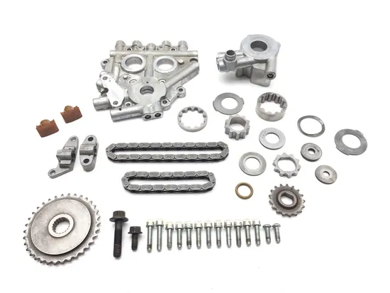 Cam Support Plate Oil Pump 2011 Harley-Davidson Road King Classic FLHRC 3226 x