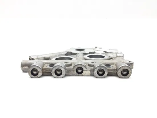 Cam Support Plate Oil Pump 2011 Harley-Davidson Road King Classic FLHRC 3226 x