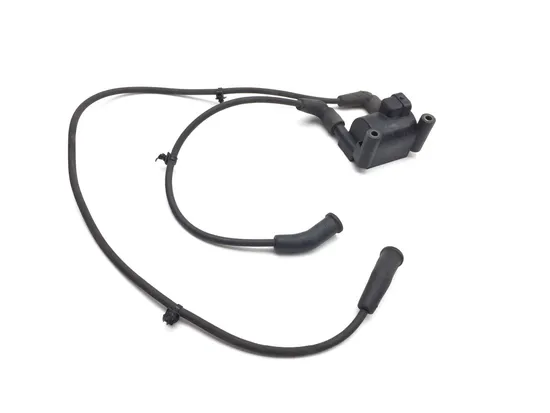 Ignition Coil Set 2011 Harley-Davidson Road King Classic FLHRC 3226