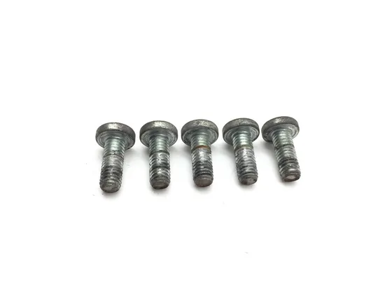 Rear Brake Rotor Disc Bolts 2011 Harley-Davidson Road King Classic FLHRC 3226