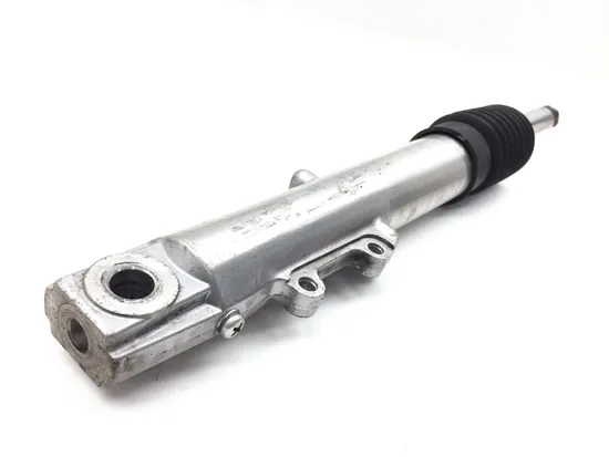 Front Forks Tubes Legs 2011 Harley-Davidson Road King Classic FLHRC 3226 x