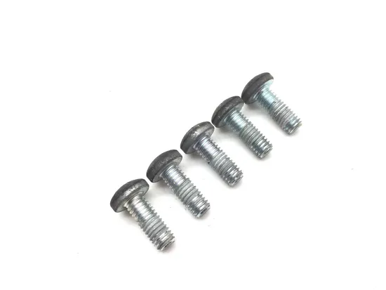 Rear Brake Rotor Disc Bolts 2005 Harley Electra Ultra Classic EFI FLHTCUI 3260