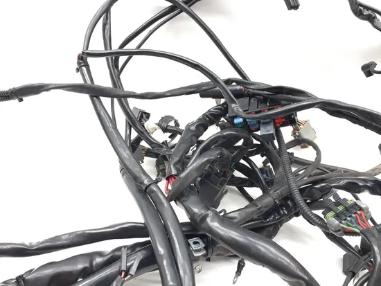 Main Engine Wiring Harness 2005 Harley Electra Ultra Classic EFI FLHTCUI 3260