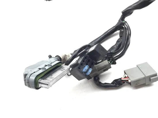 Main Engine Wiring Harness 2005 Harley Electra Ultra Classic EFI FLHTCUI 3260