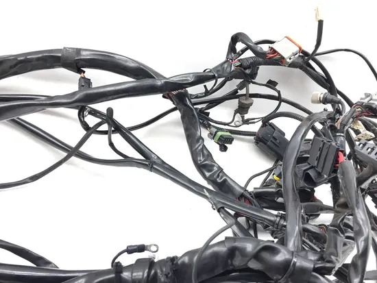 Main Engine Wiring Harness 2005 Harley Electra Ultra Classic EFI FLHTCUI 3260
