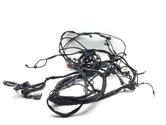 Main Engine Wiring Harness 2005 Harley Electra Ultra Classic EFI FLHTCUI 3260