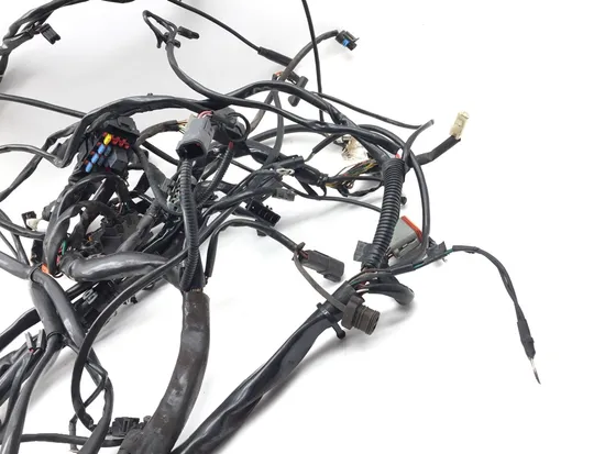 Main Engine Wiring Harness 2005 Harley Electra Ultra Classic EFI FLHTCUI 3260