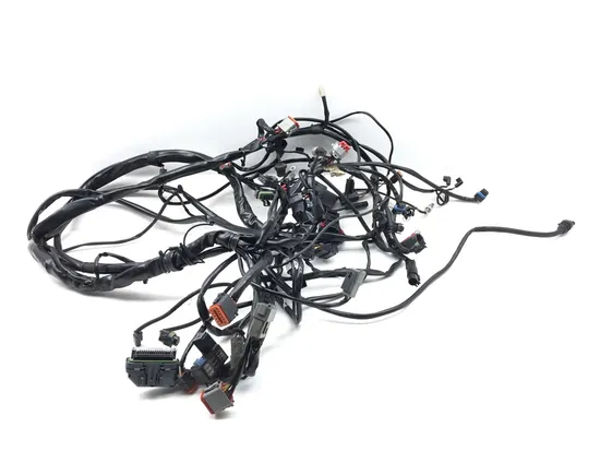 Main Engine Wiring Harness 2005 Harley Electra Ultra Classic EFI FLHTCUI 3260