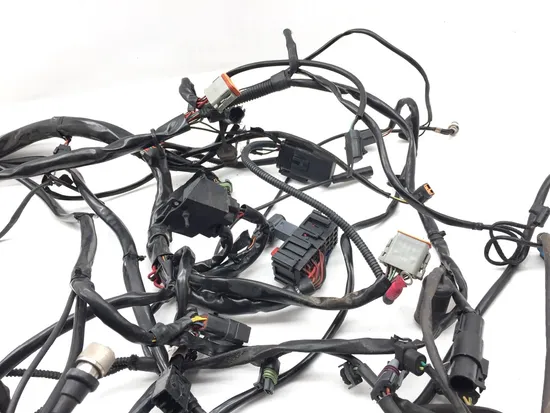 Main Engine Wiring Harness 2005 Harley Electra Ultra Classic EFI FLHTCUI 3260