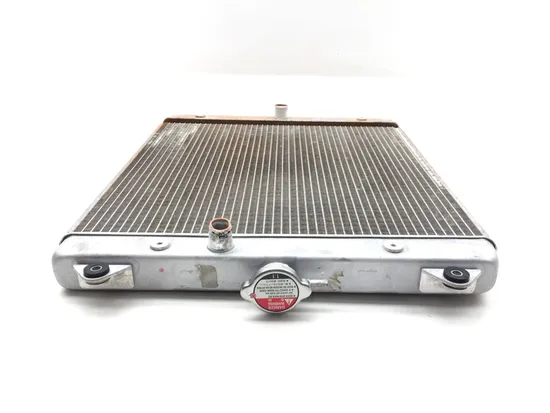 Engine Radiator Cooling 2017 Yamaha YXZ1000R 3267 x