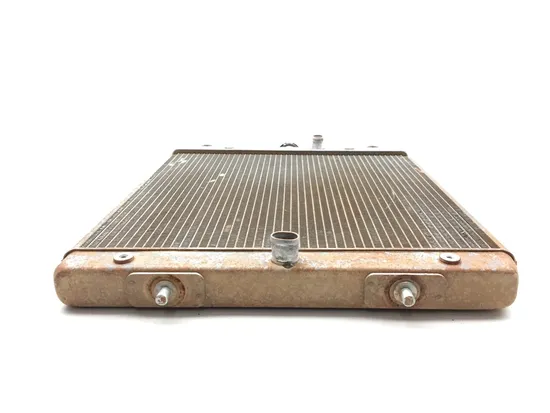 Engine Radiator Cooling 2017 Yamaha YXZ1000R 3267 x