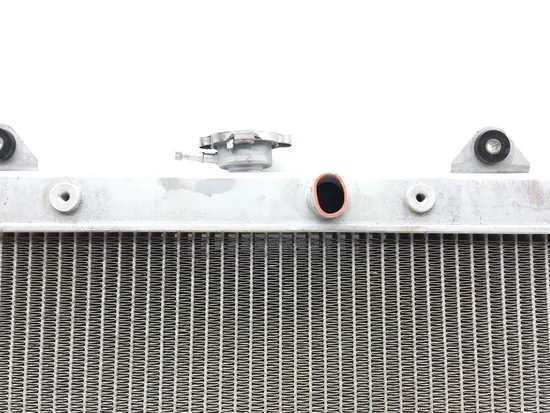 Engine Radiator Cooling 2017 Yamaha YXZ1000R 3267 x