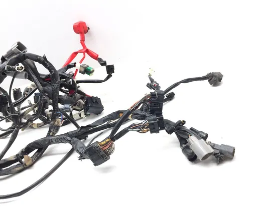Main Engine Wiring Harness 2017 Yamaha YXZ1000R 3267