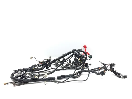 Main Engine Wiring Harness 2017 Yamaha YXZ1000R 3267