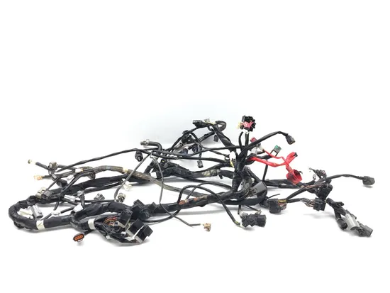 Main Engine Wiring Harness 2017 Yamaha YXZ1000R 3267