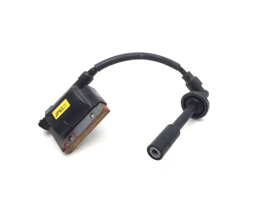 Ignition Coil 2021 Husqvarna SVARTPILEN 401 3263