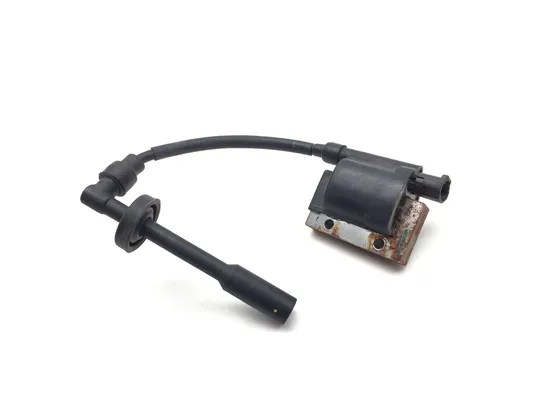 Ignition Coil 2021 Husqvarna SVARTPILEN 401 3263