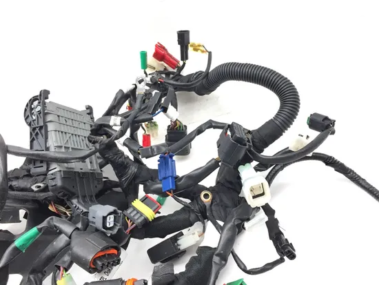 Main Engine Wiring Harness 2021 Husqvarna SVARTPILEN 401 3263