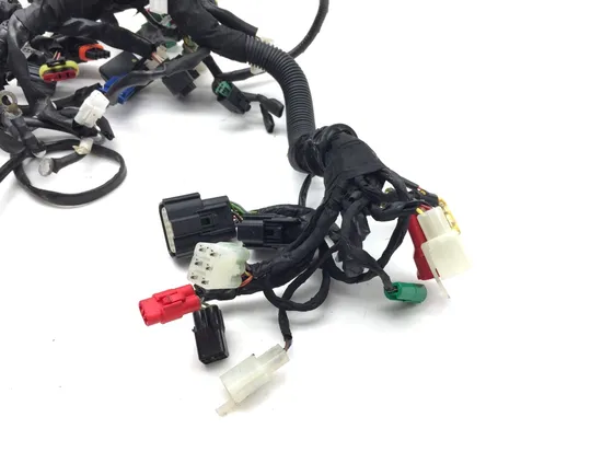 Main Engine Wiring Harness 2021 Husqvarna SVARTPILEN 401 3263
