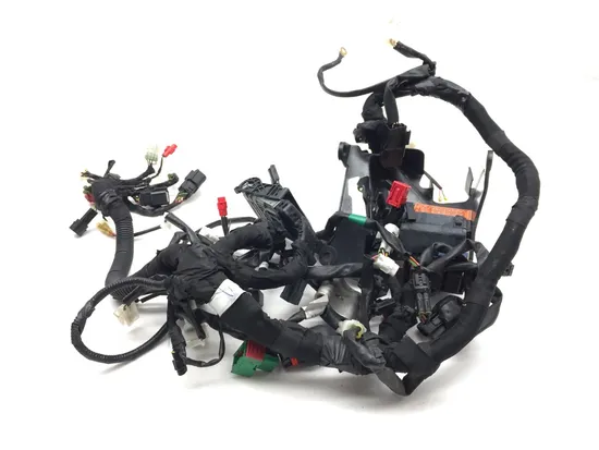 Main Engine Wiring Harness 2021 Husqvarna SVARTPILEN 401 3263