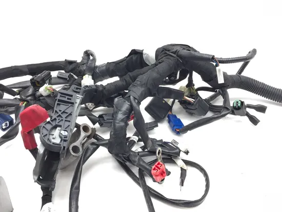 Main Engine Wiring Harness 2021 Husqvarna SVARTPILEN 401 3263