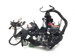 Main Engine Wiring Harness 2021 Husqvarna SVARTPILEN 401 3263